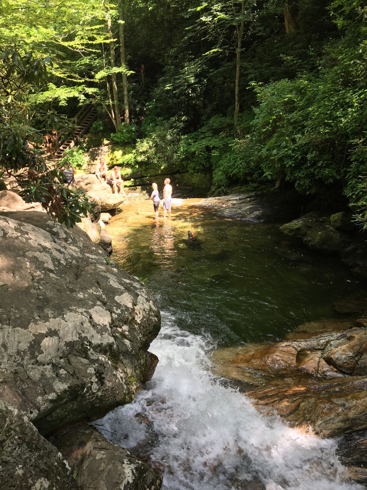 Swimmers at Skinny Dip Falls